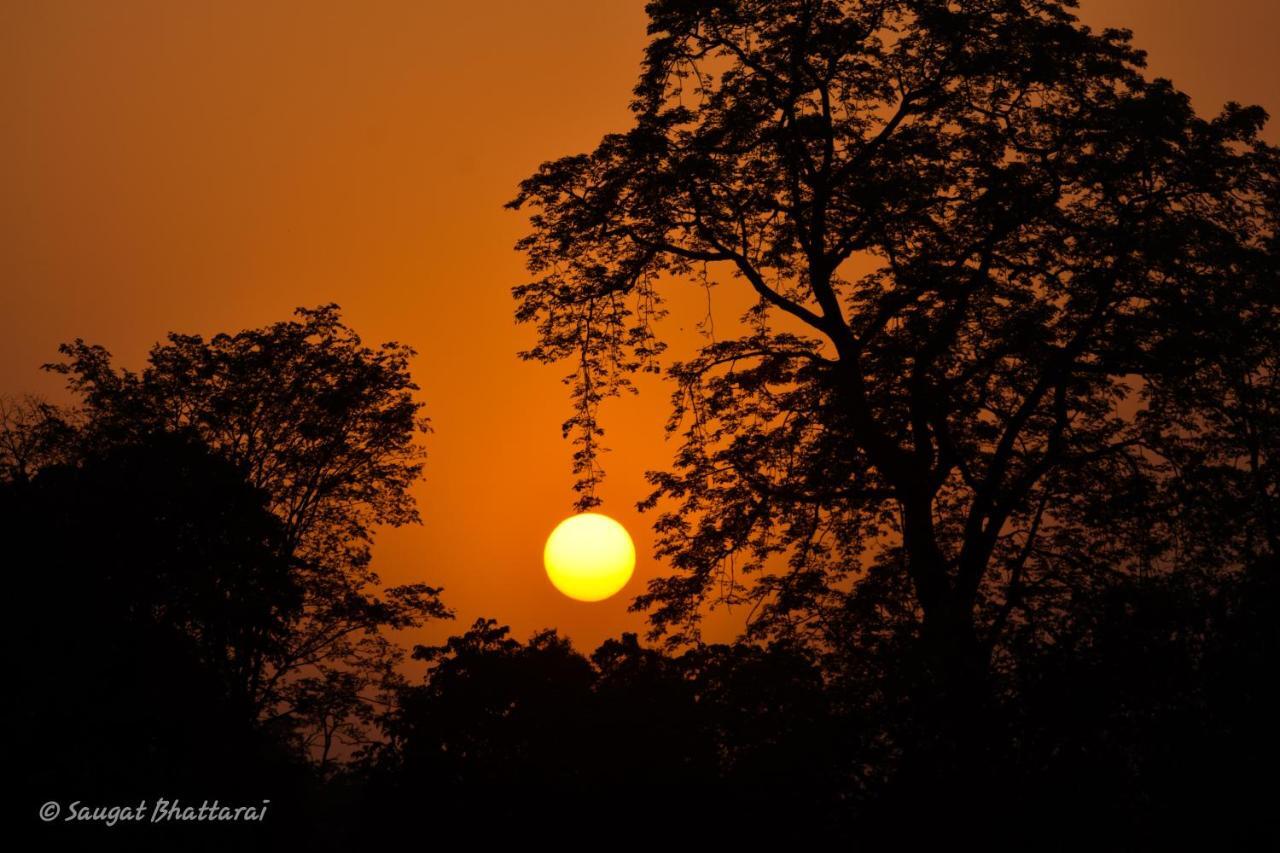 Bardia Wildlife Resort Bardiya Buitenkant foto
